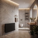 Radiator Carisa TALLIS DOUBLE with 6 sections aluminum black