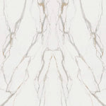 Large tile/Infinity/Calacatta Oro/1/book-A/SAT/without grid/160CM*320CM*6MM/SQ.M. MB06-SAT-A