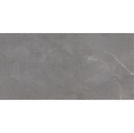 Напольная и настенная плитка Arezzo темно-серая матовая 60*120 кв.м AR71244