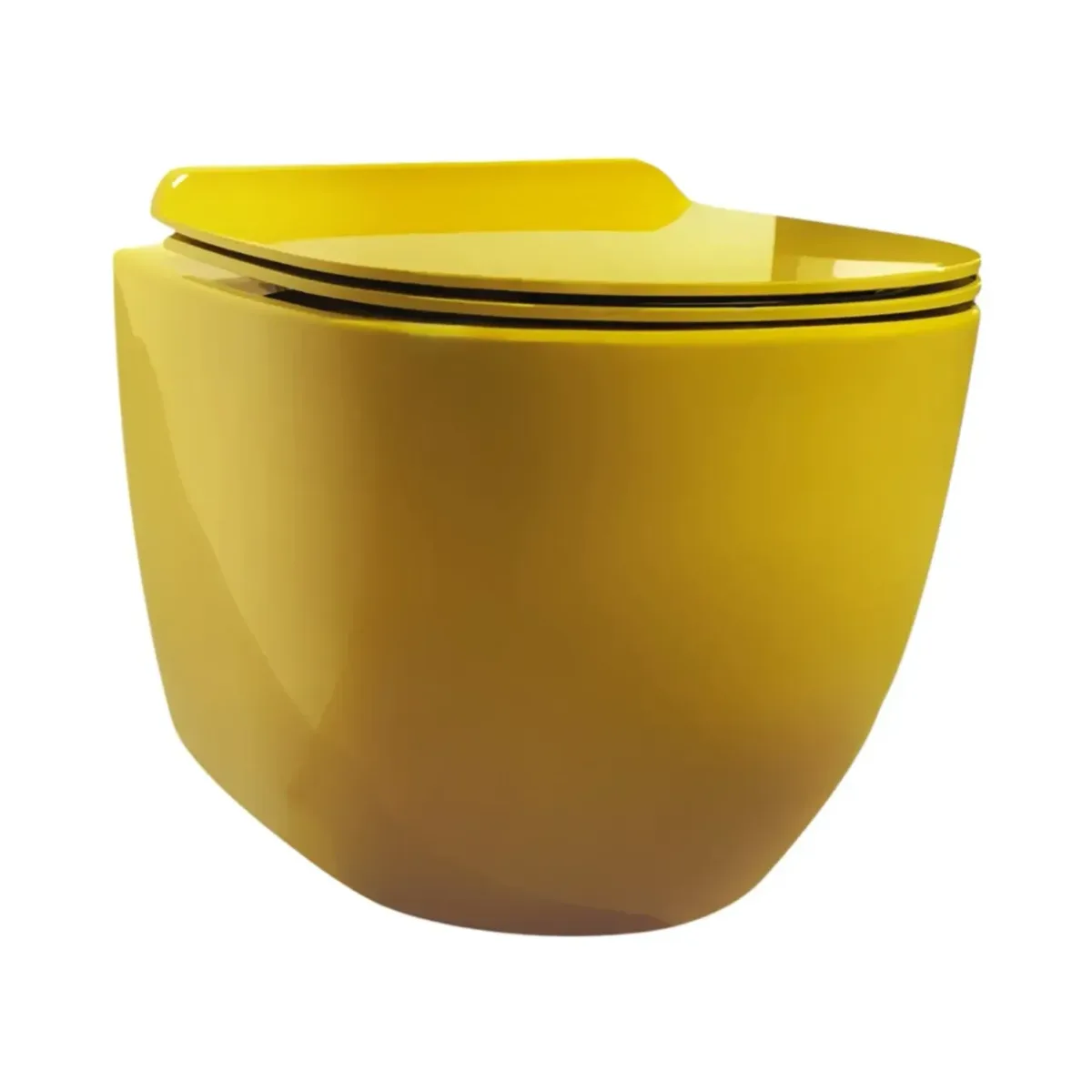 Simas Vignoni Wall-Hung Toilet Narciso with Installation Kit and Soft-Close Toilet Seat Glossy 56 cm VI18&F85||NAR