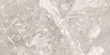 Напольная и настенная плитка BELCASTEL SILVER матовая 60*120 см кв.м. | 0358691831096