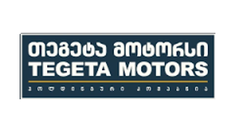 Tegeta Motors — логотип корпоративного партнёра