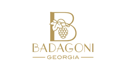 Badagoni — логотип корпоративного партнёра