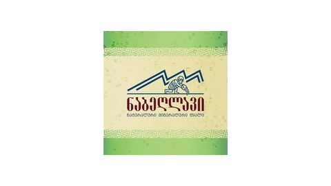 Nabeghlavi — corporate partner logo