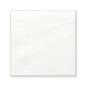 იატაკის ფილა, კედლის ფილა (კერამოგრანიტი) Dune პრიალა თეთრი - Merlons.ge