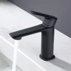 212A2066 1