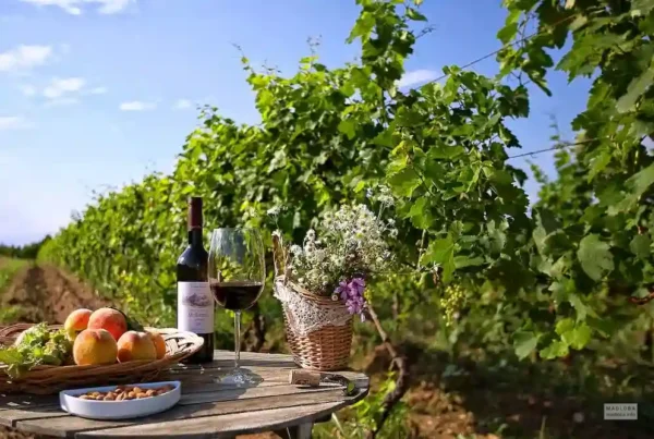vinogradniki 03.max 1920x1080.format webp.mwtmk 1 1
