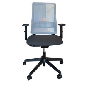 საოფისე სავარძელი LTForm/AXIS სახ. R01 მექ. S30 ბაზა B23 გორგ. R10 ჩარჩო N/ბადე PG მატერია C720 C720XI4GR01S30B23R10NPGC720-X